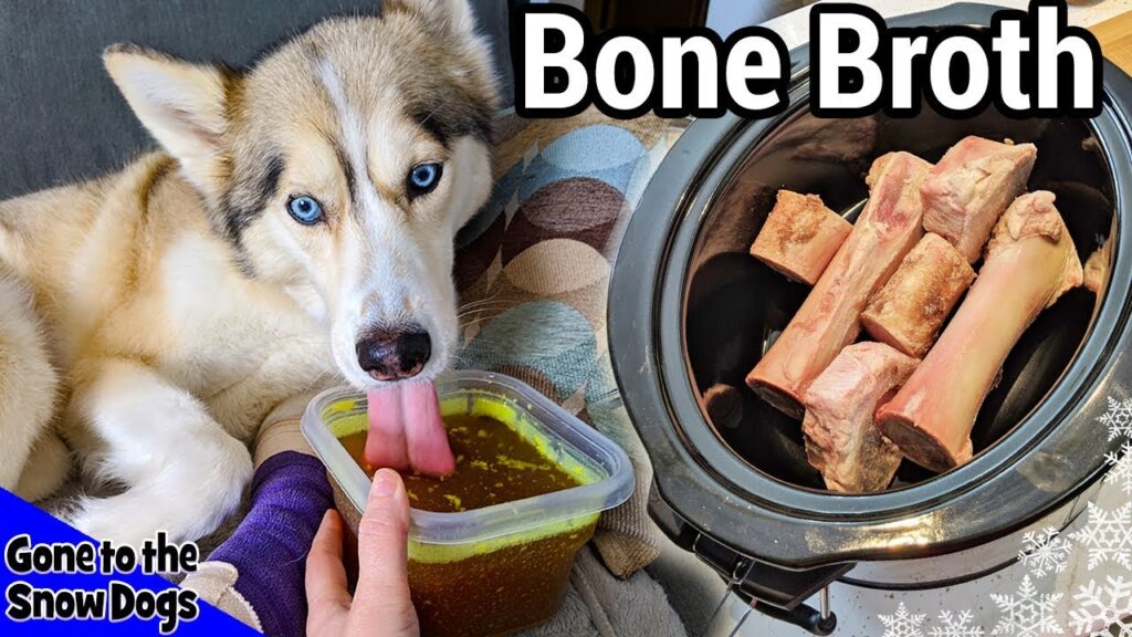 How to Make Bone Broth for Your Dog At Home