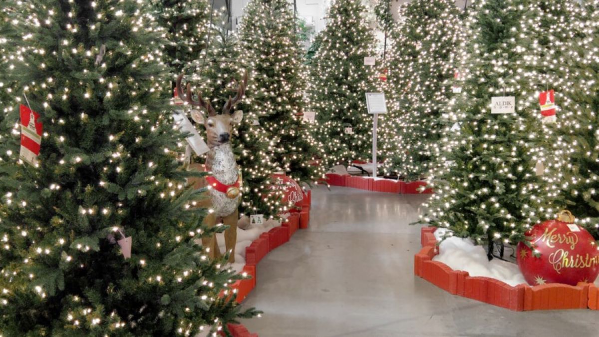 christmas tree shop